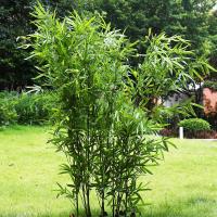 uploads/erp/collection/images/Home Garden/CongDing/XU0611165/img_b/XU0611165_img_b_2